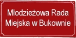 Modziezowa Rada Miejska w Bukownie